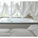파미유리조트 가족호텔 네이버블로그