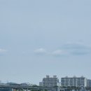 한강오리 이미지