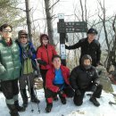 명품꽃마을 이미지