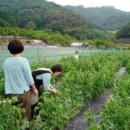 (주)진로마트 이미지