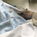 똥꼬네 | 똥꼬 튀어나옴 수술없이 회복한 후기