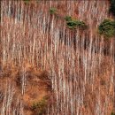 수산리-12 Daum카페