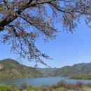 운문댐하류보4 | 대구 인근 노지캠핑 청도 운문댐하류보유원지 후기