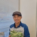번개팅