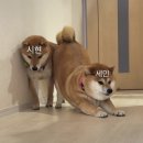 이만큼 블로그가 밀렸다는건...그만큼 바쁘다는 뜻...