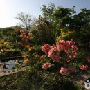 안성맞춤랜드공원13 이미지