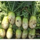 석수농장 이미지