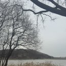 신정호국민관광지 | 아산 신정호 정원 2026년 2월 현시점 근황 솔직 방문기 🦌