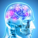 브레인피트니스 이미지