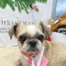 부산종합동물병원 이미지