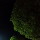 설원칡냉면 단양점 이미지