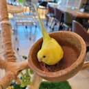 카페오늘 이미지