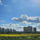 나라부부한의원 이미지