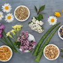 건강과약초 이미지