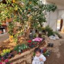 어느 날, 영월 산 책 이미지