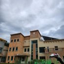 애견카페 134 | 전주 애견카페 독트럴파크 평화동 강아지 수영장 내돈내산 후기