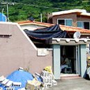 유왕운민박 이미지