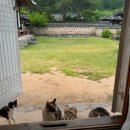 안동민박 이미지