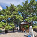 덕천리 할머니 경로당 이미지