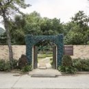 핑크피크닉 이미지