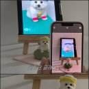 아지멍 이미지
