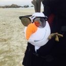 정하목장 이미지