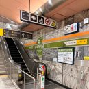 고속 | 고속터미널 딤딤섬 후기, 가는 방법, 메뉴, 패밀리세트 솔직 리뷰