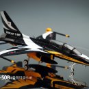 ROKAF T-50B 블랙이글스 #1 이미지