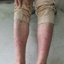 상송농장 이미지