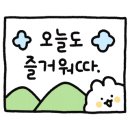 여수라스텔라애견동반스파 이미지