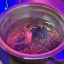 산호장 | 삼천포 횟집 용이네상회 남일대 해수욕장 맛집 하늘장조개구이 내돈내산 솔직후기