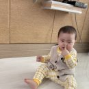 파디마 이미지