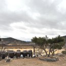 스테이지산 이미지