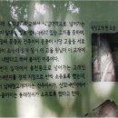 동작충효길 7코스 까치산길 이미지