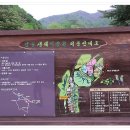 강원꽃식물원 이미지