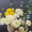 자인농장