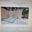 숲거리 Daum카페