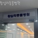 왕십리동물병원 | 성동구 도선동 동물병원 왕십리동물병원 위치 오는길 후기