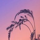 우산천길 이미지