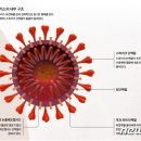 늘푸른소아청소년과의원 이미지