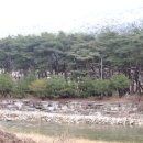 장풍숲위 이미지