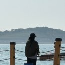 무기수산 좌대 낚시터 | 당진 자연식 좌대낚시 강력 추천! 무기수산 자연산 좌대낚시