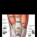 태경사우나 이미지