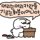 김씨반주 이미지