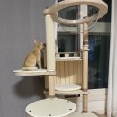 프리미엄캣 | [마스코티안/MASCOTIAN] 고양이 원목 캣타워 추천 트리 프리미엄 솔직 후기