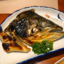 도도참치 이미지