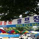 도매하는집 네이버블로그