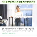 캐리어 버리기 수하물캐리어 처리 후 공간이 넓어진 집 후기 코르딕스