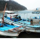 솔잎농장 이미지