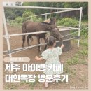 대한목장 | 제주 가볼만한곳 3살 아이랑 대한목장 방문후기